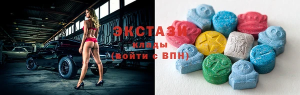 индика Новозыбков
