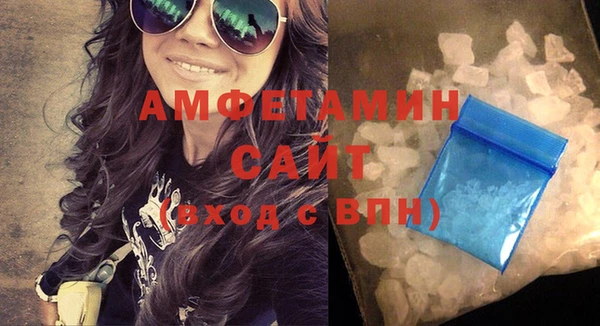 индика Новозыбков