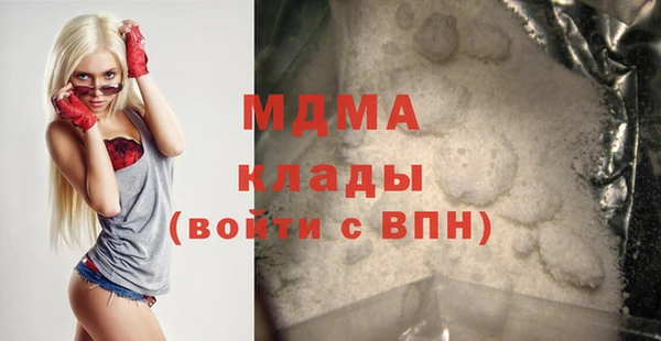 индика Новозыбков